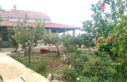 Villa Belvedere Žiža - Photo 24