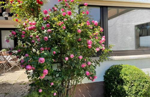 Ferienwohnung di Simoni - Foto 8