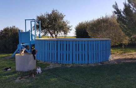 Salento LapezzaAculuri - Foto 43