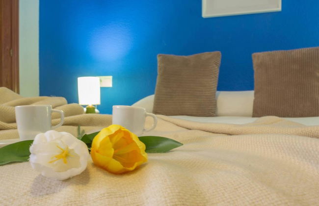 Plaza Toros Vieja Terrace - Photo 16