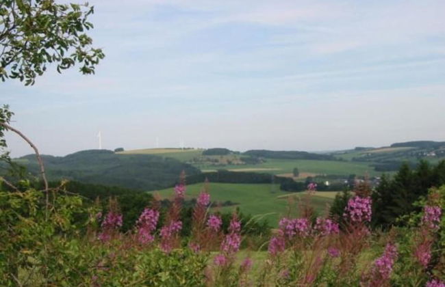 Chalet in Reinskopf With Fireplace and Balcony - Photo 40