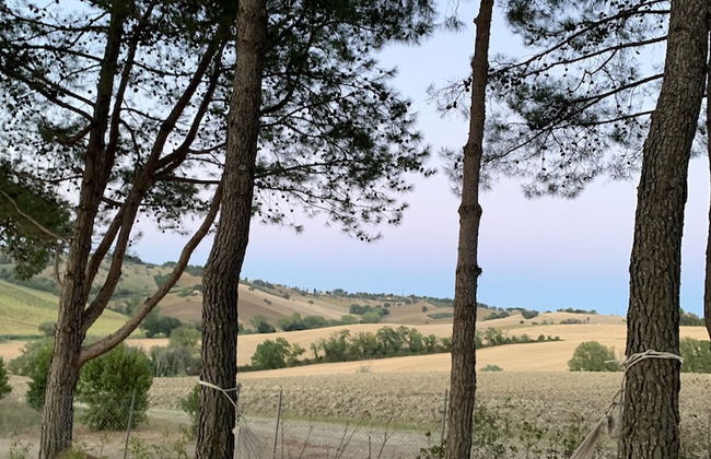 Naturaverde Country House - Photo 62