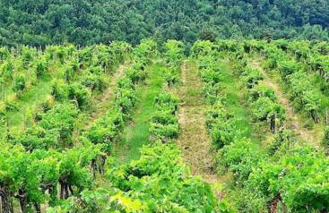 La Casa di Orazio - Foto 58