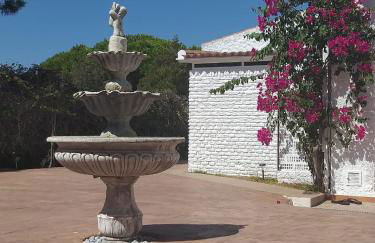 Entre pinos y playa - Photo 12