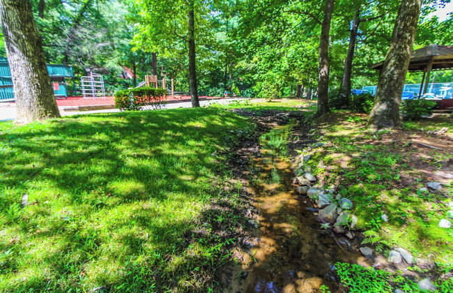 Alpine Crest Resort - Photo 17