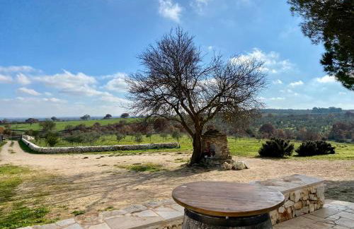 Agriturismo Tenuta del Grillaio - Foto 15