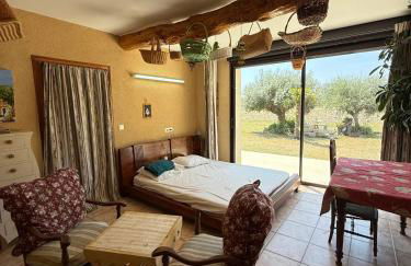 Villa spacieuse à Richerenches - Foto 43