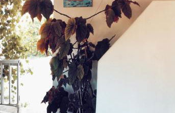 Panormitis House - Foto 31