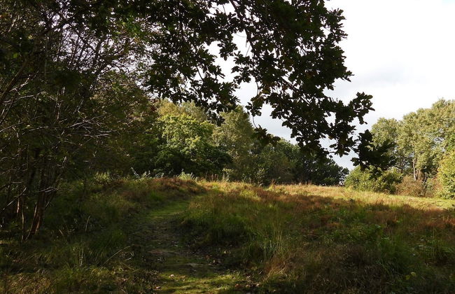 Rustic Farmhouse Getaway - By Traum Ferienwohnungen - Foto 23