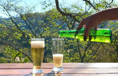 Casa do Alto Santa Mônica- Natureza ao seu redor - Foto 22