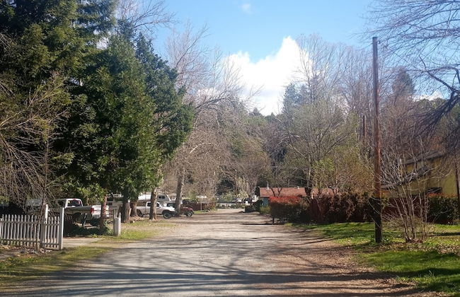 Bigfoot RV & Cabins Park - Foto 43