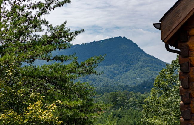 MooseBehaving - Two Bedroom Cabin - Foto 25