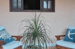 Casa aconchegante - Foto 8