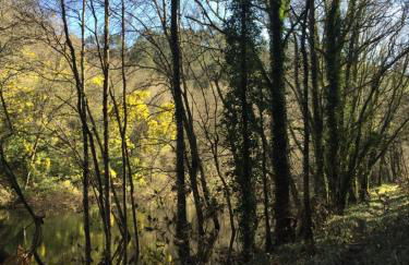 O Muíño da Balsiña - Foto 53