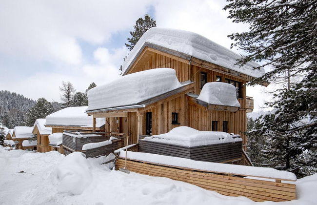 Spacious Chalet With Infrared Sauna - Foto 1