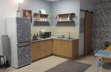 Samodzielny domek Studio - 35m2 centrum Ciechanów - Foto 14
