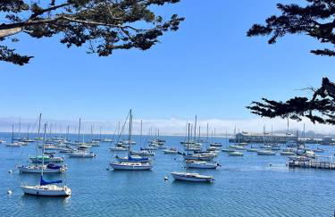 Romantic Carmel Cottage Ocean Country Views - Photo 15