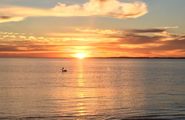 Onslow Beach Resort - Foto 59