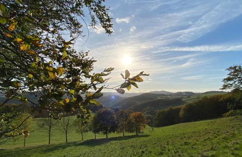 Waldläufer Brilon - Foto 64