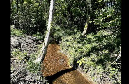 Villa des châteaux du Pessac leognan - Foto 21
