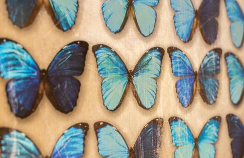 Brosterfield Cottage - Foto 22