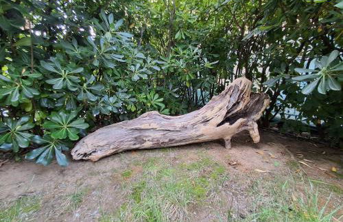 Spiaggia Serena - con giardino e box a 10 mt dal mare - Foto 21