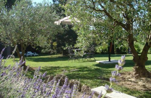 L’Olivier - Foto 25