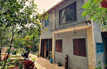 Casa Lipe & Rafa Linda casa com árvores - Foto 15