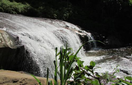 Chalé e Suite Manacá - Foto 60