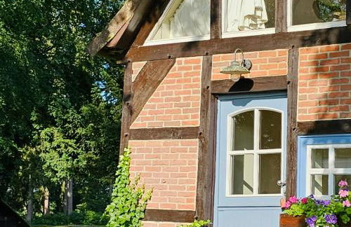 Peaceful Oasis In Pristine Nature - Foto 33