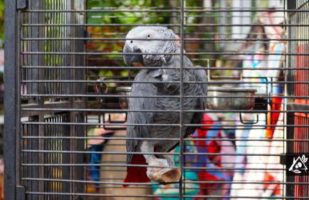 Quinta do Paraíso - Photo 6