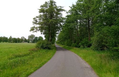 FeWo Unner'd Kastanje - Foto 30