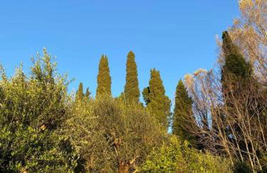 Villa Cottage Eleni - Foto 45