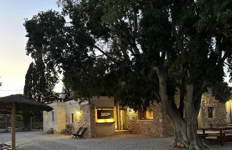 Mas Xalmes - Foto 49