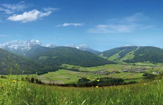 Apartments Frieda - Foto 24