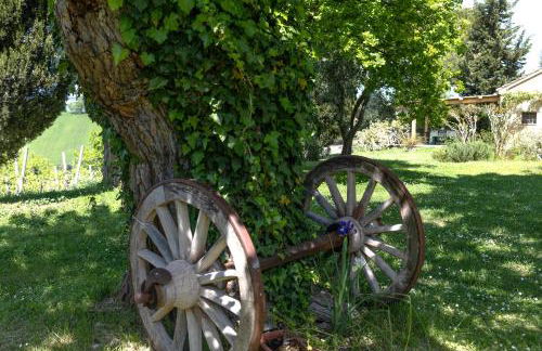 Delightful Cottage facing the vineyard - Foto 25