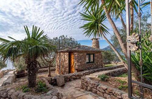 Seaside house for families with children Postup, Peljesac - 20849 - Photo 10