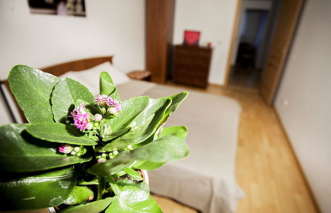 Funny Dolphins Apartments Spasskaya - Foto 6