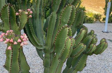 Villa Mi Marino - Foto 39