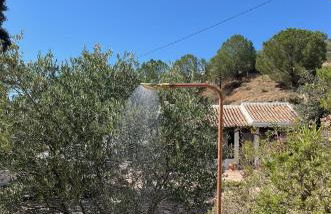 Finca El Sueño Andaluz - Foto 24