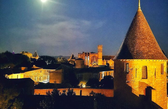 Tour per piccoli gruppi della Cité de Carcassonne - Foto 7