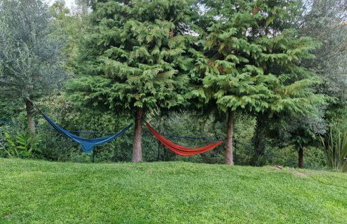 Quinta da Casa dos Santos - Inside Gerês - Foto 54