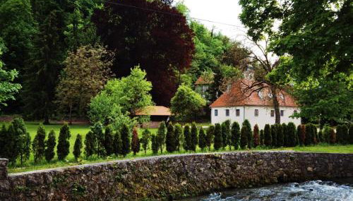 Villa Taborec - Photo 3, Garden