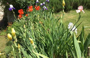 Gîtes Oasis du Lot - Foto 7