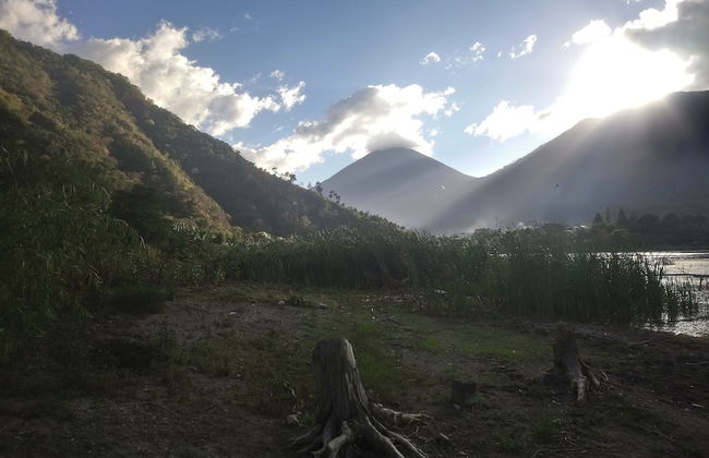 Pink house - Foto 16