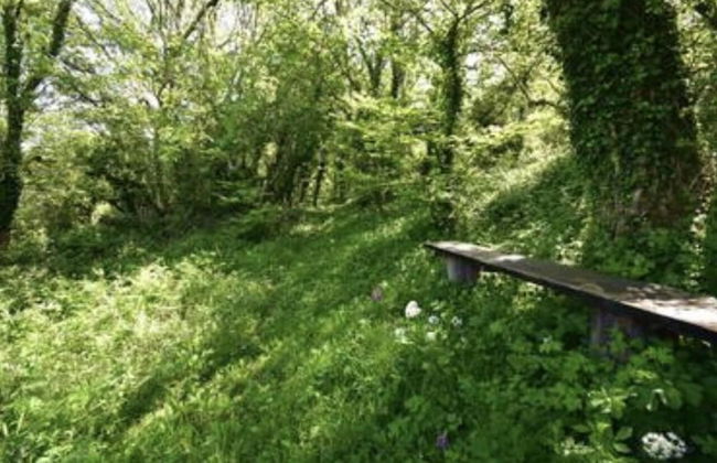 Guyscliffe Farm Holiday Lets - Foto 36