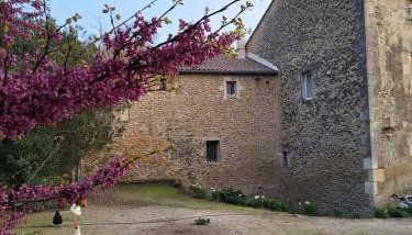 La Maison du Moulin de Tartay - Photo 5