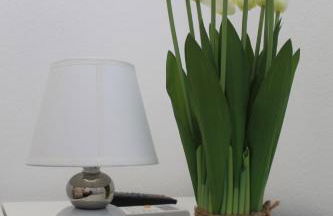 Home Viale Trento 16 - Foto 43