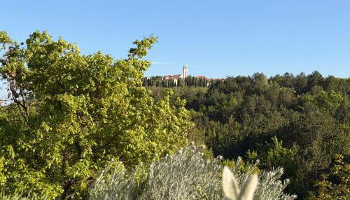 Santa Lucia App - Foto 2