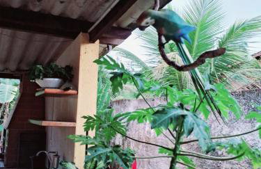 Casa Natureza - Foto 12